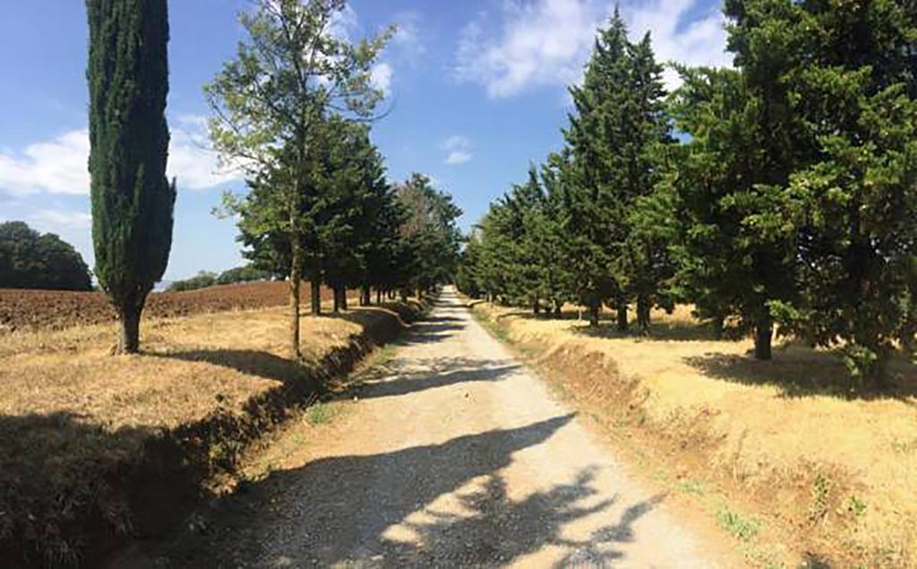 Agriturismo Ipoderi Chianciano Terme Eksteriør bilde